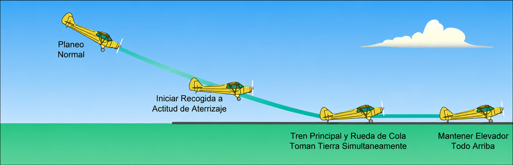 Figura 13-1. Aterrizaje de un avión con rueda de cola.